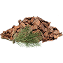Pine bark extract antioxidants